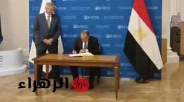 خطوة دولية جديدة.. وزير الخارجية يبحث مستقبل التعاون مع منظمة التعاون الاقتصادي والتنمية 1